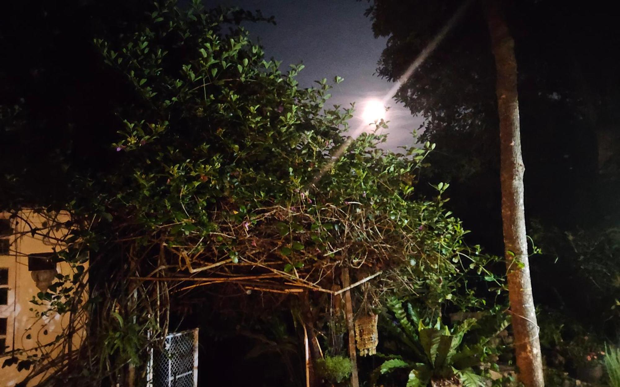 Balmy Hideout Cafe & Homestay Ban Huai Kaeo Exterior foto